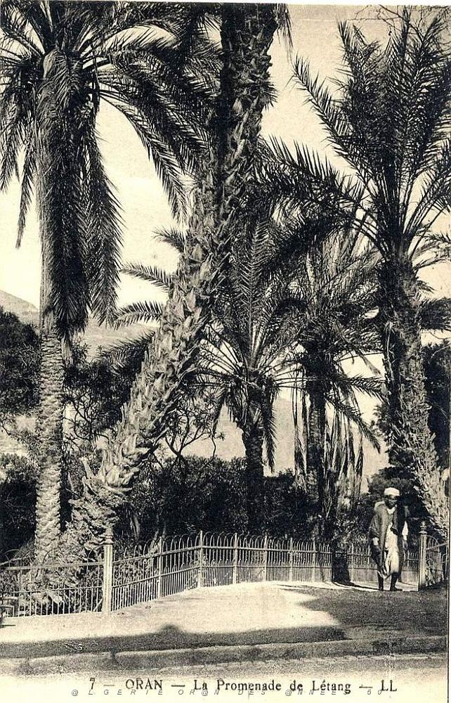 PL a- 032- Promenade de Letang A.JPG